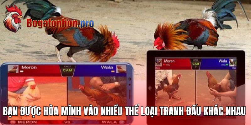 Bạn được hòa mình vào nhiều thể loại tranh đấu khác nhau Bạn được hòa mình vào nhiều thể loại tranh đấu khác nhau