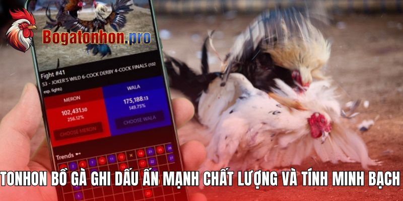 Tonhon Bồ Gà ghi dấu ấn mạnh mẽ về chất lượng và tính minh bạch Tonhon Bồ Gà ghi dấu ấn mạnh mẽ về chất lượng và tính minh bạch